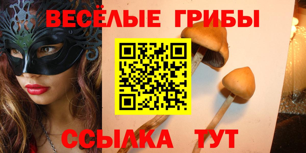Галлюциногенные грибы мухоморы Апатиты